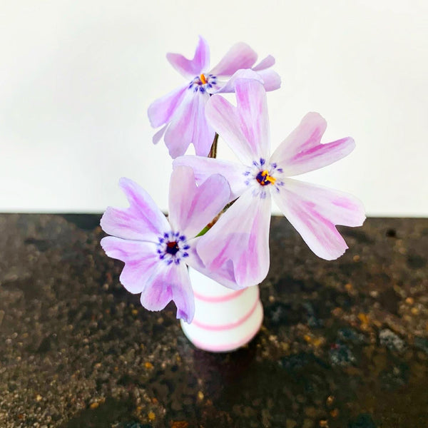 Dandelion Vase - Pink and White Swirl