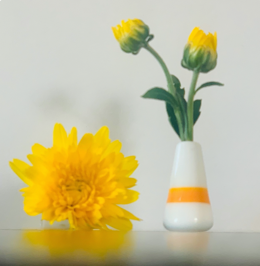 Custom Dandelion Vase - White with Orange Stripe