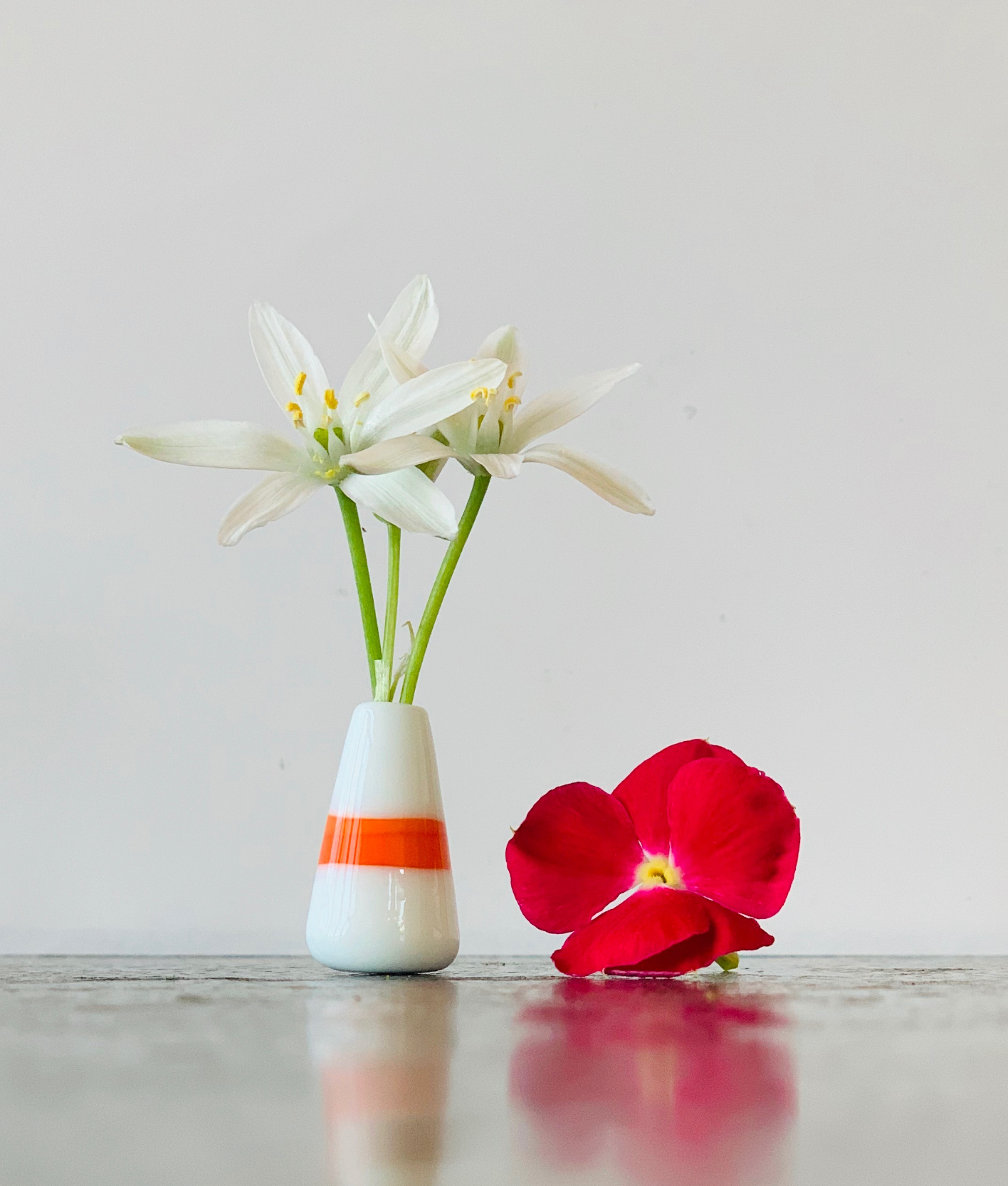 Custom Dandelion Vase - White and Orange