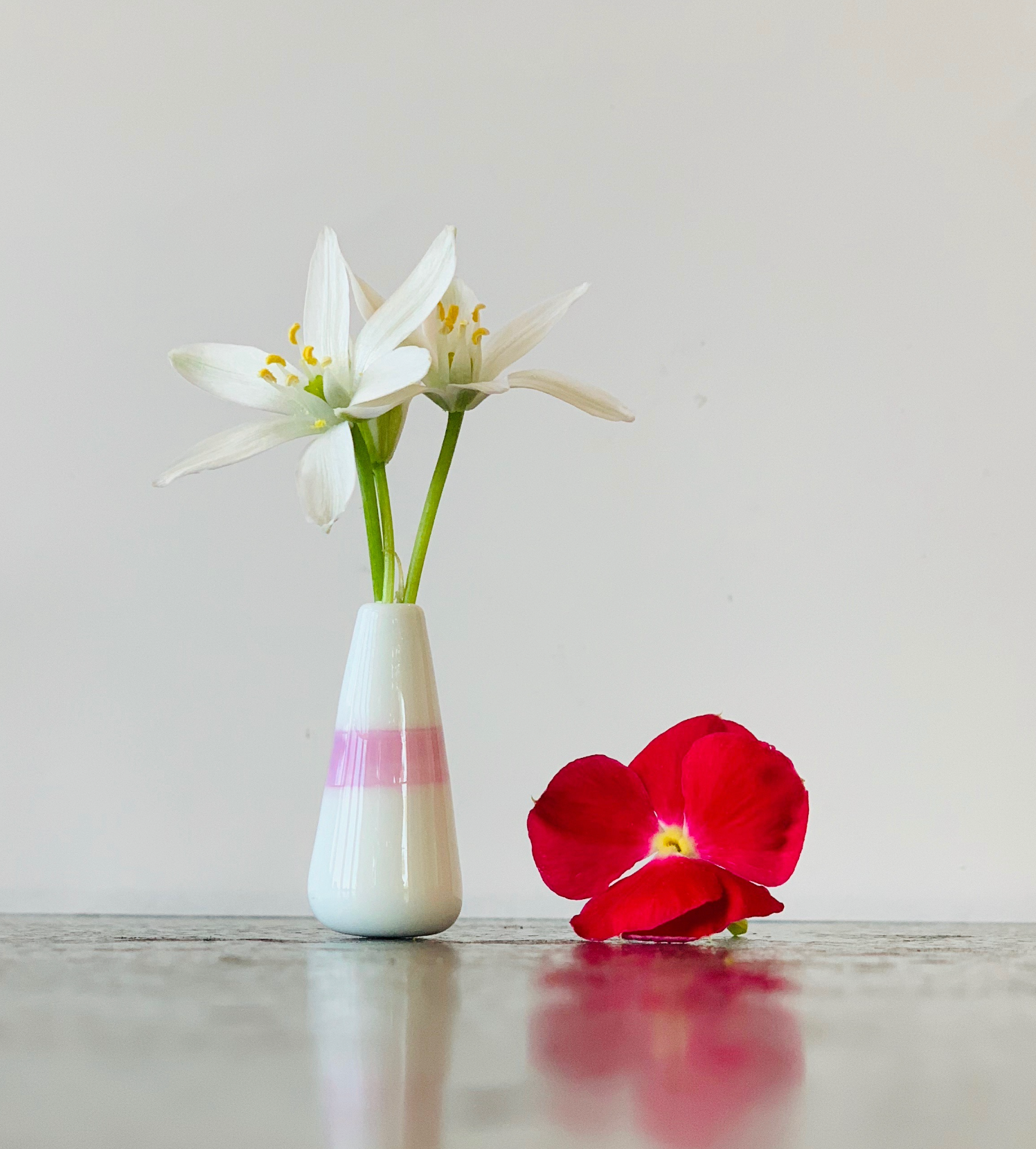 Custom Dandelion Vase - White and Pink