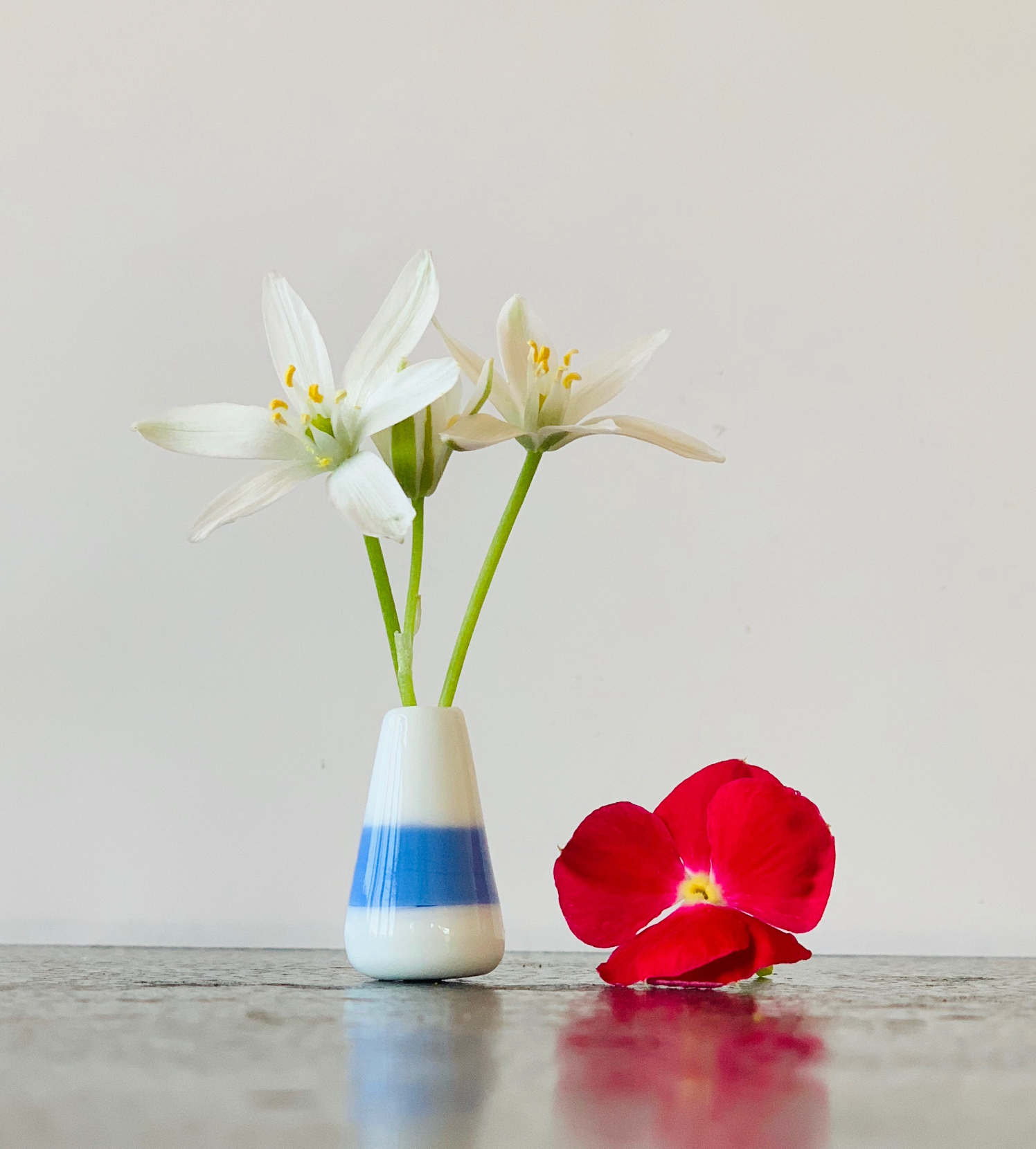 Custom Dandelion Vase - White and Blue