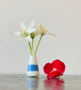 Custom Dandelion Vase - White and Blue
