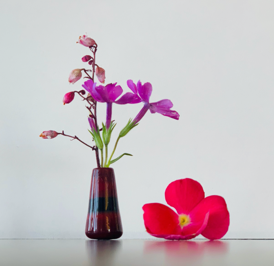 Custom Dandelion Vase - Burgundy and Black
