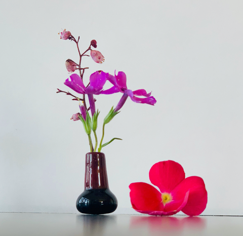 Custom Dandelion Vase - Burgundy and Black