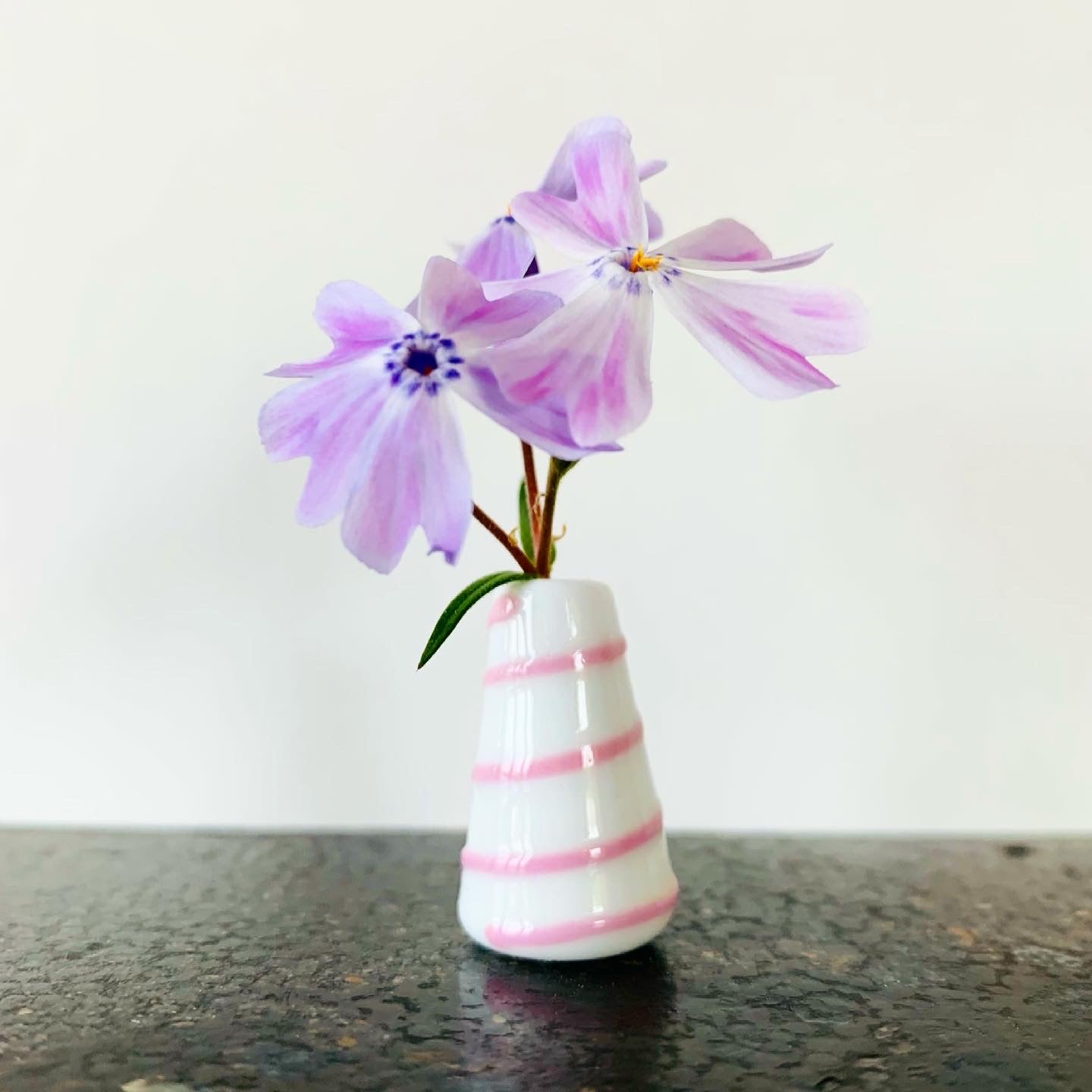 Dandelion Vase - Pink and White Swirl